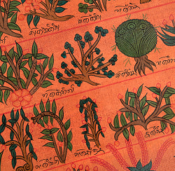 〔一点物〕オイルフィニッシュ仕上げ タンカ - チベット医学四部医典薬草図[37cm x 47cm] - サブ5