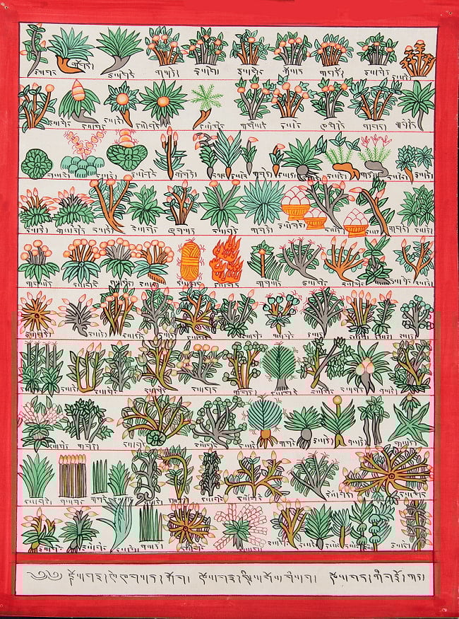 〔一点物〕タンカ - チベット医学四部医典薬草図[35cm x 27cm]の写真仏画,Thanka,タンカ,マンダラ,曼荼羅,手描きのタンカ,手描,チベット仏教