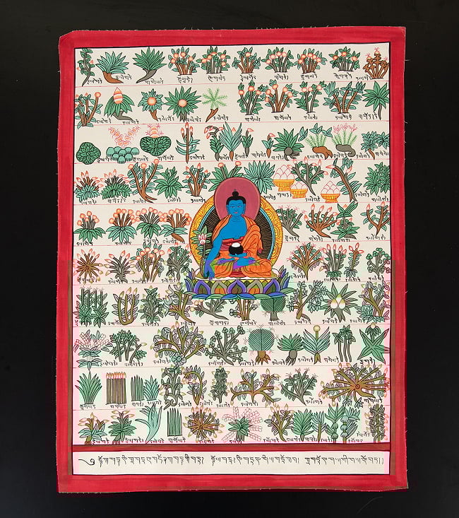 〔一点物〕タンカ - チベット医学四部医典薬草図[36x48cm] 2 - 仏画の全体像が分かるように撮影しました