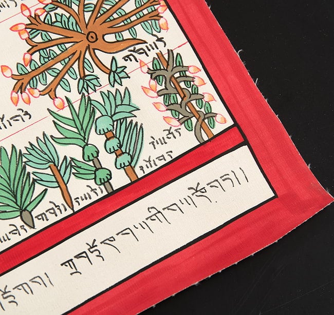 〔一点物〕タンカ - チベット医学四部医典薬草図[36x48cm] 9 - 一部分をアップにしてみました