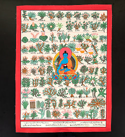 〔一点物〕タンカ - チベット医学四部医典薬草図[37x48cm] - サブ2