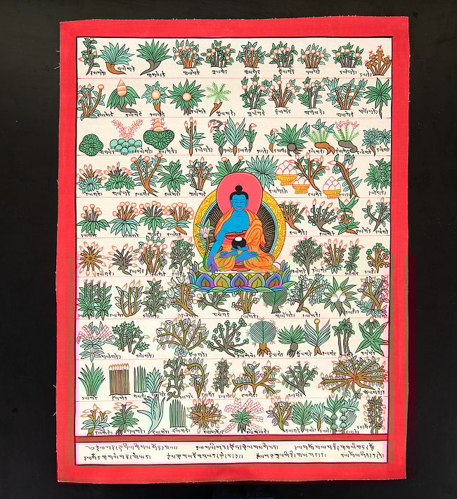 〔一点物〕タンカ - チベット医学四部医典薬草図[37x48cm] 2 - 仏画の全体像が分かるように撮影しました