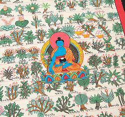 〔一点物〕タンカ - チベット医学四部医典薬草図[37x48cm] - サブ4