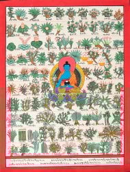 〔一点物〕タンカ - チベット医学四部医典薬草図[37x48cm](NP-TANKA-370)