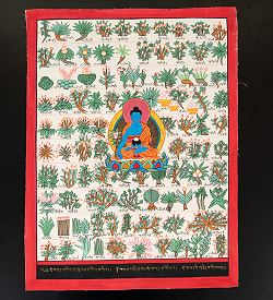 〔一点物〕タンカ - チベット医学四部医典薬草図[37x48cm] - サブ2