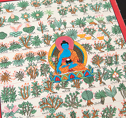 〔一点物〕タンカ - チベット医学四部医典薬草図[37x48cm] - サブ4