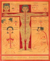 〔一点物〕タンカ - チベット医学 人体解剖図[37x44cm](NP-TANKA-373)