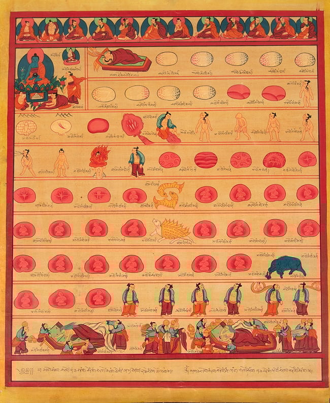 〔一点物〕タンカ - チベット医学 胎児の発生過程図[40x46cm]の写真タンカ,仏画,マンダラ,チベット,曼荼羅,手描き,ネパール仏教,チベット密教,