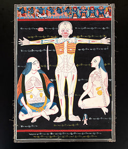 〔一点物〕タンカ - チベット医学（ソワ・リクパ）の解剖学的・生理学的な概念図[35x48cm] - サブ2