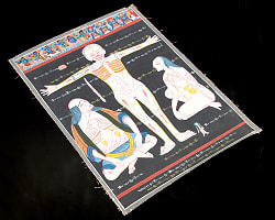 〔一点物〕タンカ - チベット医学（ソワ・リクパ）の解剖学的・生理学的な概念図[35x48cm] - サブ3