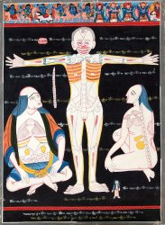 〔一点物〕タンカ - チベット医学（ソワ・リクパ）の解剖学的・生理学的な概念図[35x48cm](NP-TANKA-375)