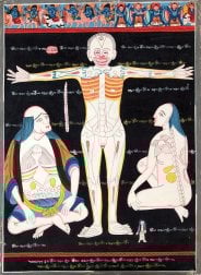 〔一点物〕タンカ - チベット医学（ソワ・リクパ）の解剖学的・生理学的な概念図[35x48cm](NP-TANKA-375)
