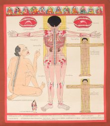 〔一点物〕タンカ - チベット医学の解剖図[38x44cm](NP-TANKA-376)