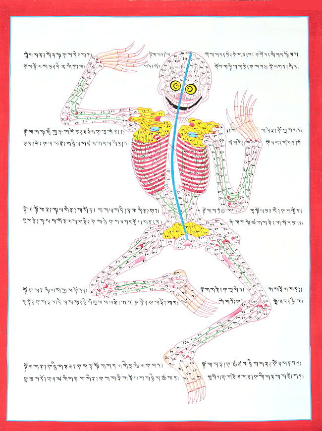 〔一点物〕タンカ - チベット医学 人体経絡図[37x48cm]の写真タンカ,仏画,マンダラ,チベット,曼荼羅,手描き,ネパール仏教,チベット密教,