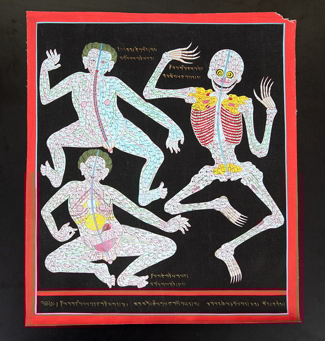 〔一点物〕タンカ - チベット医学 人体経絡図[40x46cm] 2 - 仏画の全体像が分かるように撮影しました