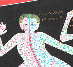 〔一点物〕タンカ - チベット医学 人体経絡図[40x46cm] - サブ5