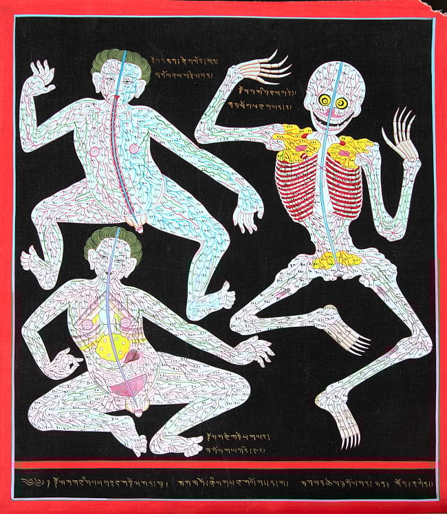 〔一点物〕タンカ - チベット医学 人体経絡図[40x46cm]の写真タンカ,仏画,マンダラ,チベット,曼荼羅,手描き,ネパール仏教,チベット密教,