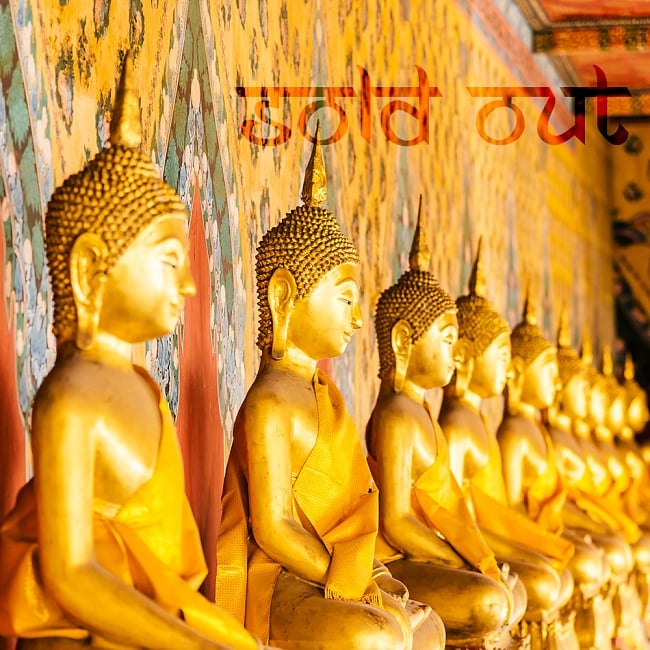 【ワケアリ】超特大マンダラ - ブッダの一生(Life of Buddha)の写真タンカ,マンダラ,曼荼羅,手描きのタンカ