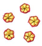 インドの刺繍アップリケ 花 5個セット　【桃×金】の商品写真