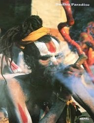 サドゥーの商品写真