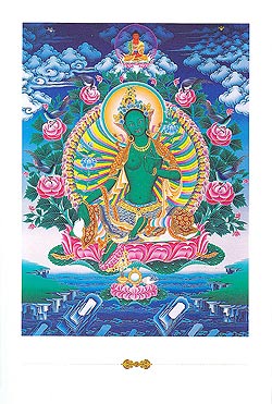 グリーンターラーのポストカード