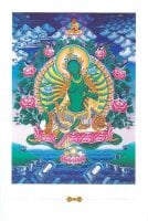 グリーンターラーのポストカード