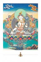 ターラーのポストカード