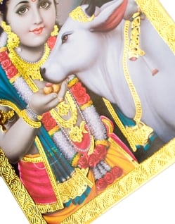 金の神様ポストカード-仔牛を愛でるベイビークリシュナ - サブ3