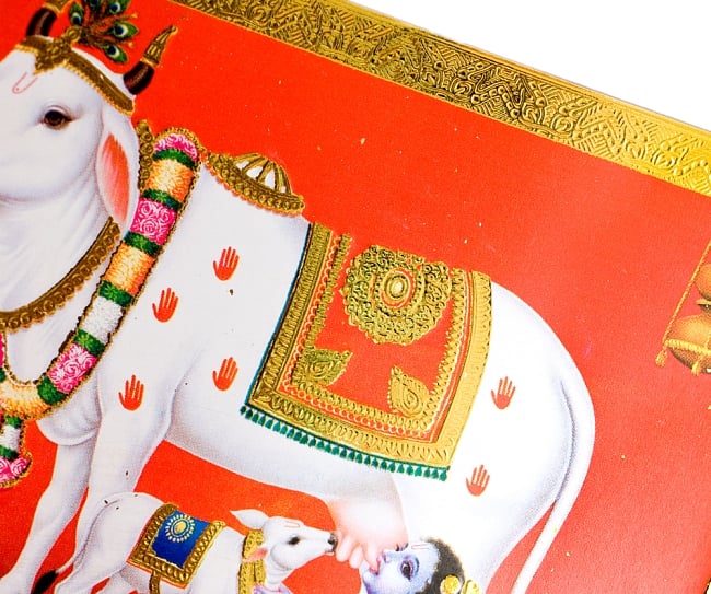 金の神様ポストカード-白い牛とベイビークリシュナの商品写真 2枚目 このように美しく輝きます