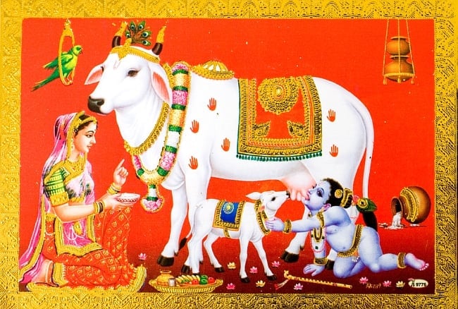 金の神様ポストカード-白い牛とベイビークリシュナの写真1枚目です。全体図です神様,ポストカード,金,ゴールド,