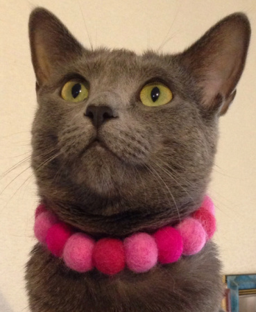 マルベリーの評価写真