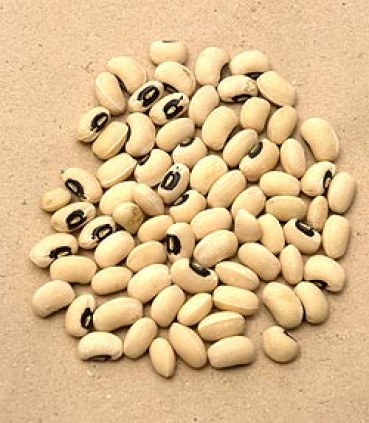 ライム15の評価写真