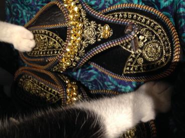 momontaの評価写真