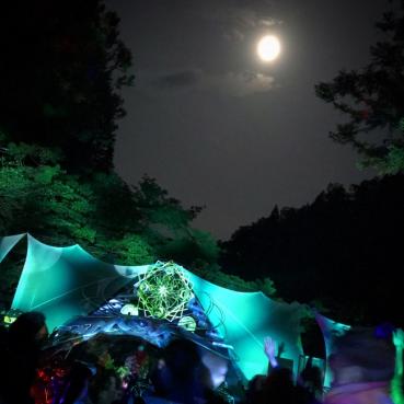 Umimaruの評価写真