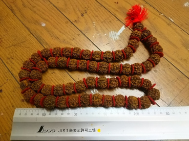 ぶぶの評価写真