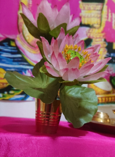 リーベの評価写真