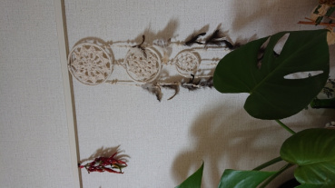 美歩の評価写真