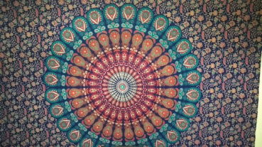 みゃの評価写真