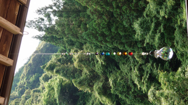 伊藤の評価写真