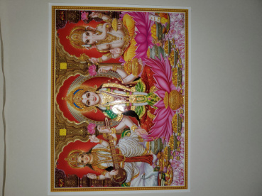 はるの評価写真