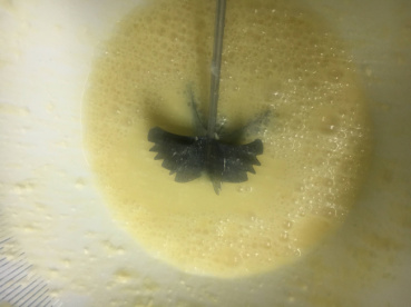 あんの評価写真