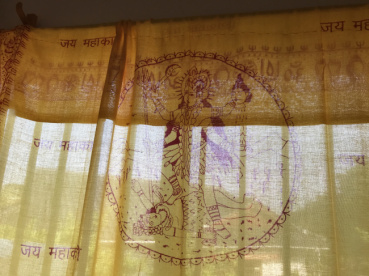 猫のたまさんの評価写真