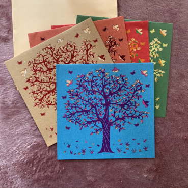 すみぃの評価写真