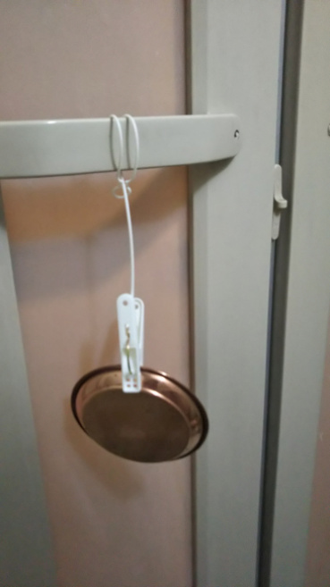 アレカヤシの評価写真