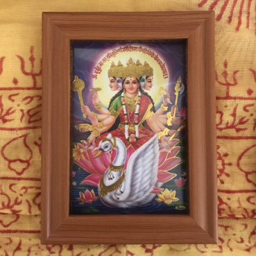 シヴの評価写真