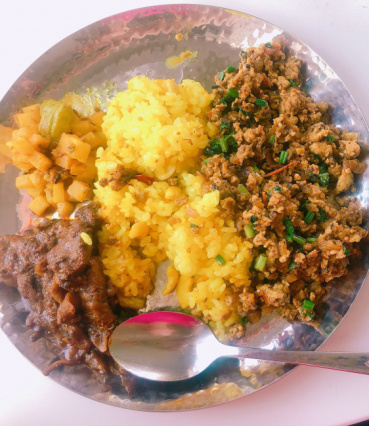 かめの評価写真