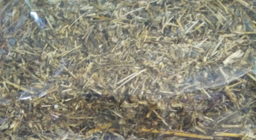 カレーの人の評価写真