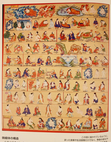 カヤの評価写真