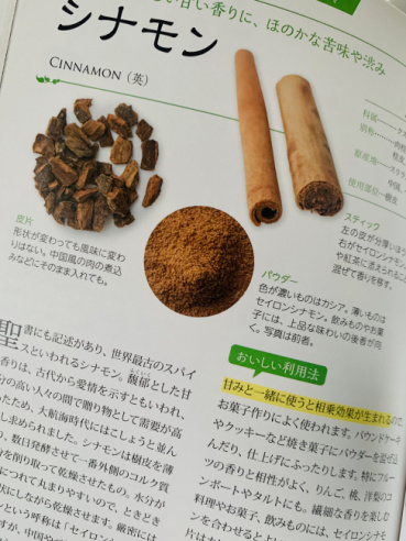 カヤの評価写真