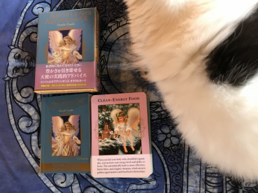 puchanの評価写真